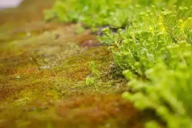 long8-龙8(国际)唯一官方网站